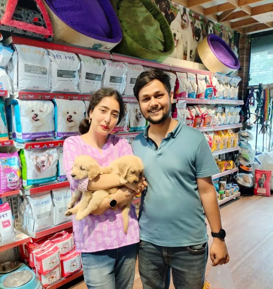 Couple holding two Golden Retriever puppies in a pet shop in Delhi NCR