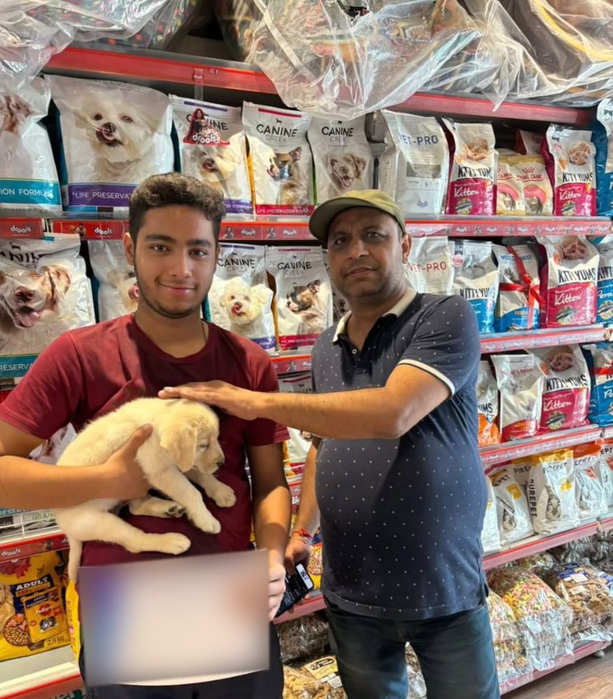 Two customers with their new Labrador puppy in Delhi NCR