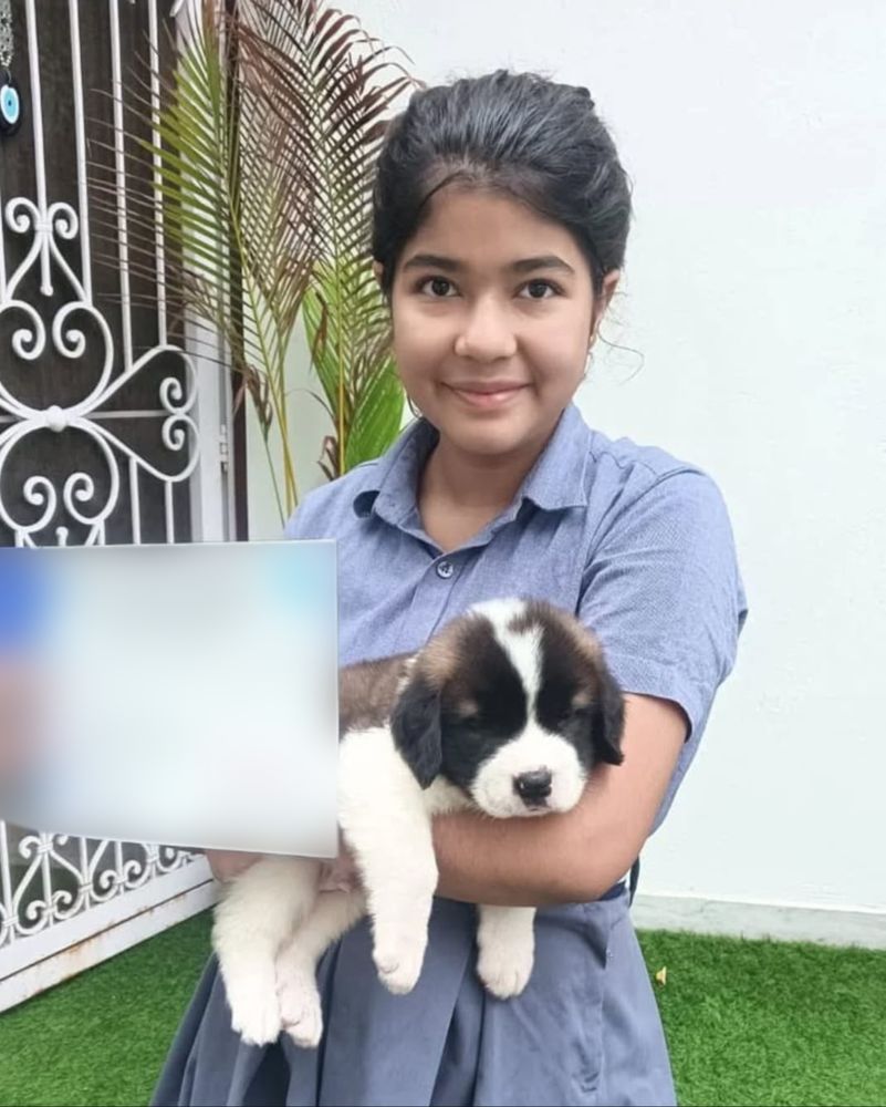 Young owner with her new Saint Bernard puppy in Delhi NCR