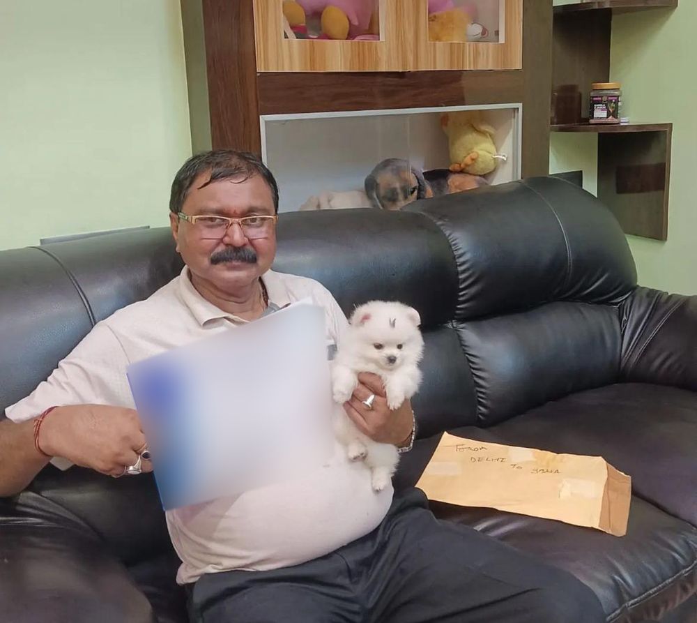 Customer at home with his new white Toy Pomeranian puppy in Delhi NCR